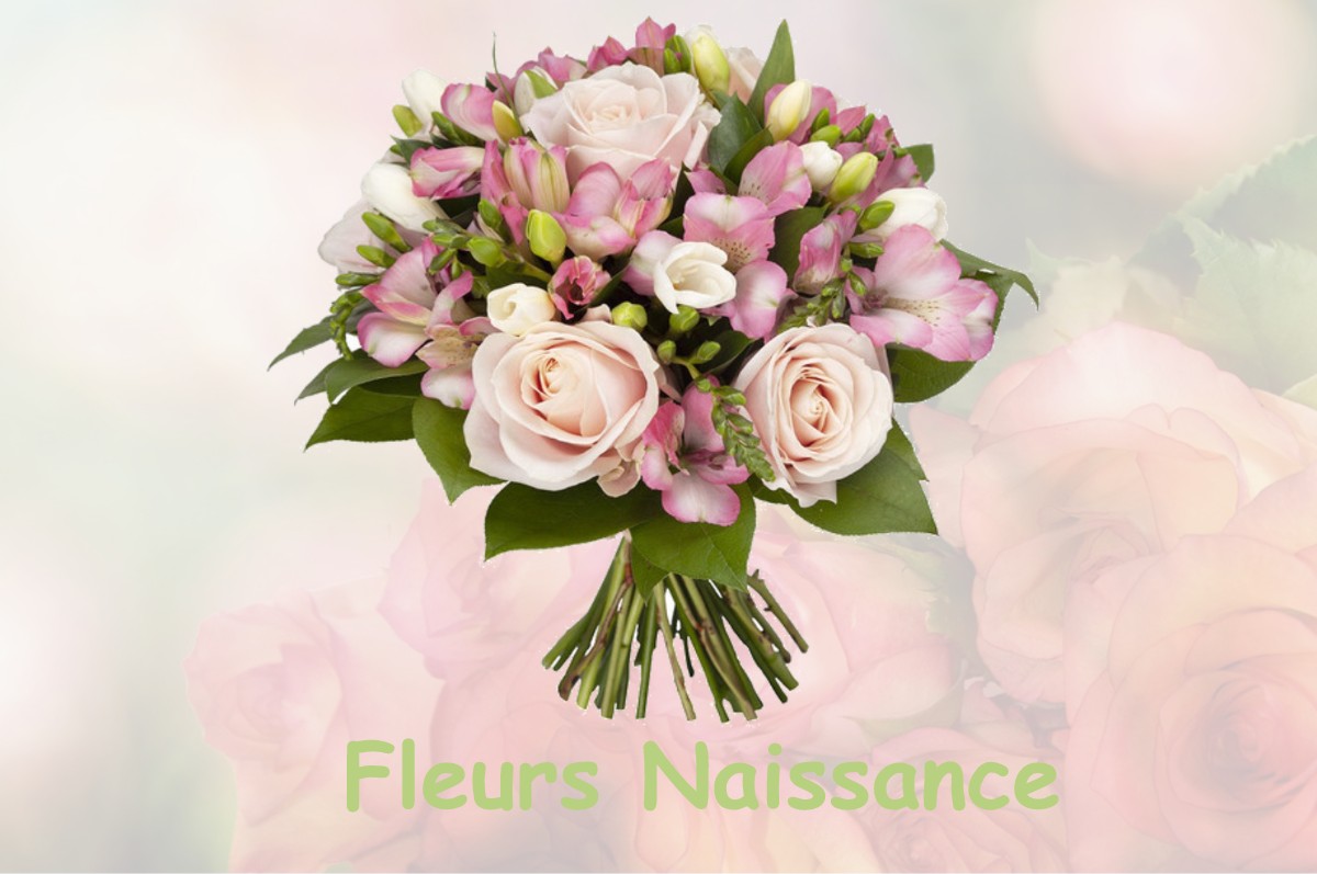 fleurs naissance LA-FARE-EN-CHAMPSAUR